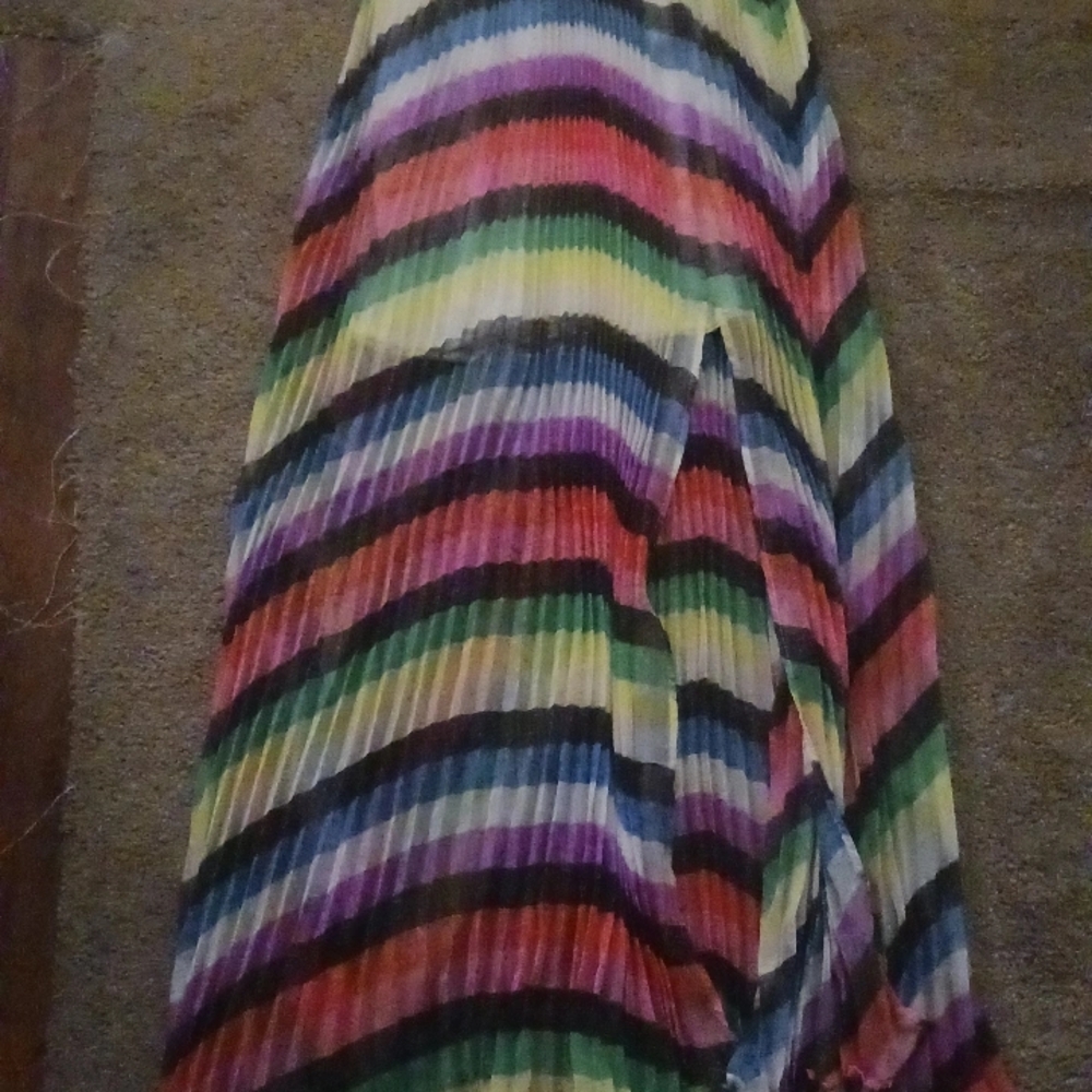 Multicolor Pleated Women's Skirt